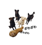 アメコカFify(フィフィー)'s STAMP③（個別スタンプ：4）