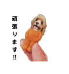 アメコカFify(フィフィー)'s STAMP③（個別スタンプ：8）