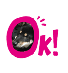 柴犬 くろとモル（個別スタンプ：6）