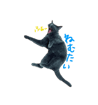 うちの猫のミント（個別スタンプ：2）