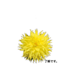 ダリアの花（個別スタンプ：7）