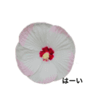 ダリアの花（個別スタンプ：14）