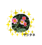 ダリアの花（個別スタンプ：23）