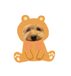 トイプードルのモコくん（個別スタンプ：7）