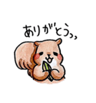 りすちゃん8種類（個別スタンプ：5）