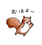 りすちゃん8種類（個別スタンプ：8）