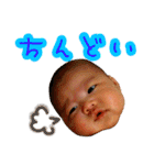 かわいい赤ちゃん言葉写真スタンプ（個別スタンプ：24）