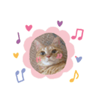 中山さん家の猫さん（個別スタンプ：7）
