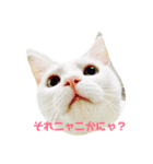 モンテさん。（個別スタンプ：4）