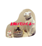 モンテさん。（個別スタンプ：7）