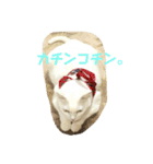 モンテさん。（個別スタンプ：11）