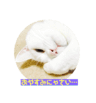 モンテさん。（個別スタンプ：15）