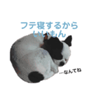 狆チワのエルさん〜時々メンヘラ～（個別スタンプ：11）