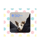 ヒッキーな万歳くん（個別スタンプ：4）
