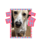 ヒッキーな万歳くん（個別スタンプ：5）