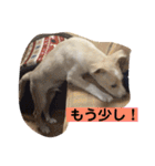 ヒッキーな万歳くん（個別スタンプ：6）