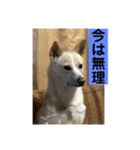 ヒッキーな万歳くん（個別スタンプ：7）