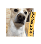 ヒッキーな万歳くん（個別スタンプ：12）