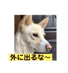 ヒッキーな万歳くん（個別スタンプ：22）