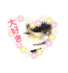 ヒッキーな万歳くん（個別スタンプ：23）