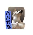 ヒッキーな万歳くん（個別スタンプ：24）