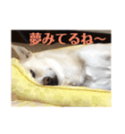 ヒッキーな万歳くん（個別スタンプ：28）