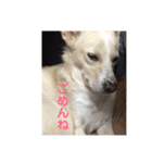 ヒッキーな万歳くん（個別スタンプ：30）