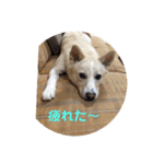 ヒッキーな万歳くん（個別スタンプ：31）