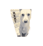 ヒッキーな万歳くん（個別スタンプ：36）