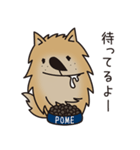 ポメラニアン24h（個別スタンプ：2）