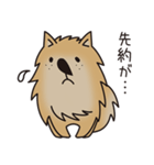 ポメラニアン24h（個別スタンプ：4）