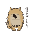 ポメラニアン24h（個別スタンプ：22）