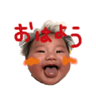 向日葵ちゃんたまーに にぃにスタンプ（個別スタンプ：1）