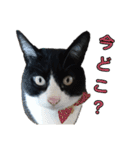 にんにんと仲間たち2（個別スタンプ：9）