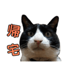 にんにんと仲間たち2（個別スタンプ：13）
