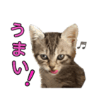 にんにんと仲間たち2（個別スタンプ：15）