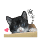 にんにんと仲間たち2（個別スタンプ：21）