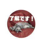 気まぐれニャンズ 1（個別スタンプ：4）