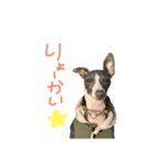 ロディ男スタンプ第3弾！（個別スタンプ：8）