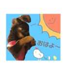 chef and cookie 1（個別スタンプ：1）