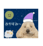 chef and cookie 1（個別スタンプ：2）