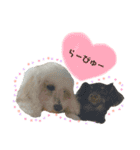 chef and cookie 1（個別スタンプ：8）