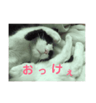 メロの日常 2（個別スタンプ：7）