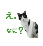 メロの日常 2（個別スタンプ：14）