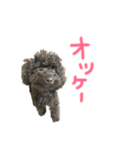 僕、マイク（個別スタンプ：2）