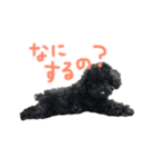 僕、マイク（個別スタンプ：7）