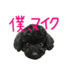僕、マイク（個別スタンプ：8）