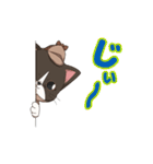 ねこ探偵 さくにゃん（個別スタンプ：3）