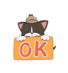 ねこ探偵 さくにゃん（個別スタンプ：11）