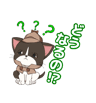 ねこ探偵 さくにゃん（個別スタンプ：13）